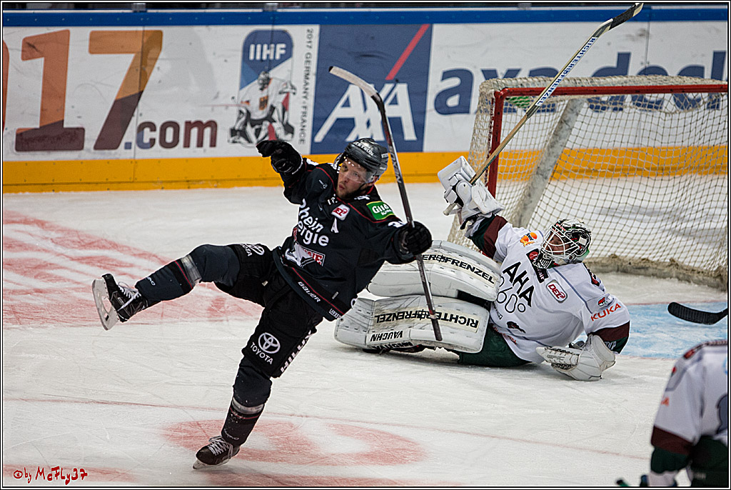 DEL, Koelner Haie - Augsburger Panther, 13.01.2017